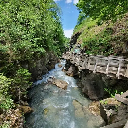 Apartment Leontina *