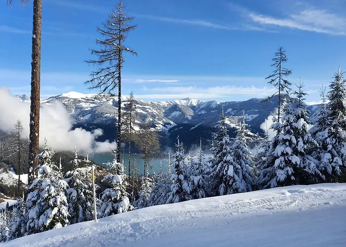 דירה Leontina - With Air Conditioning And Summer Card קפרון